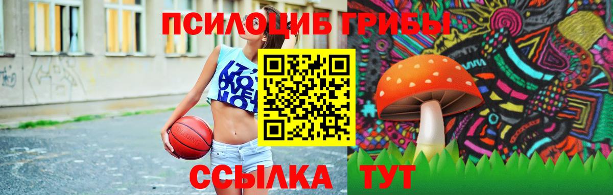 Заводоуковск  Псилоцибиновые грибы GOLDEN TEACHER  Вход с VPN 
